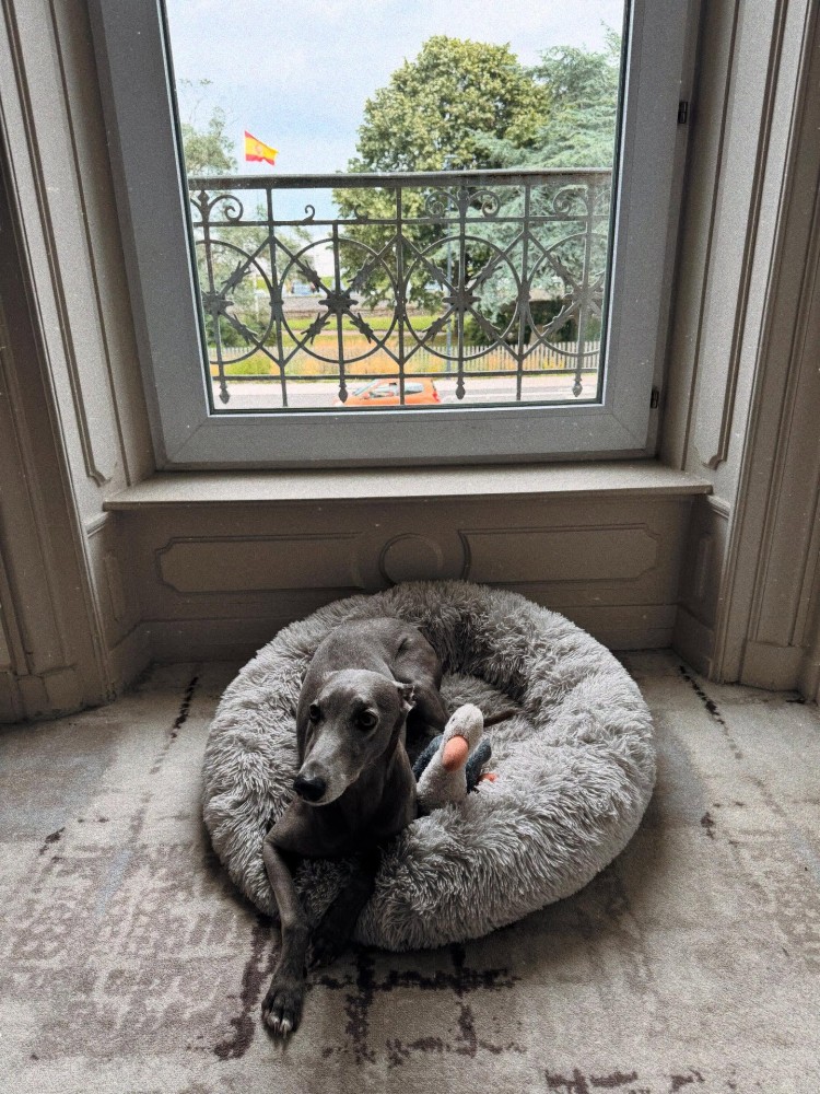 No&euml;l &agrave; l'h&ocirc;tel Le Cercle