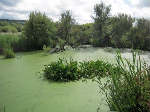 Conseils pour les randonn&eacute;es du Cotentin