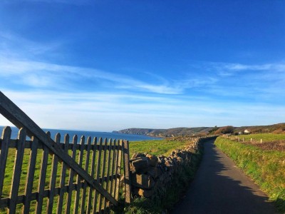 272823057-962384057749884-7670730637034716999-n__