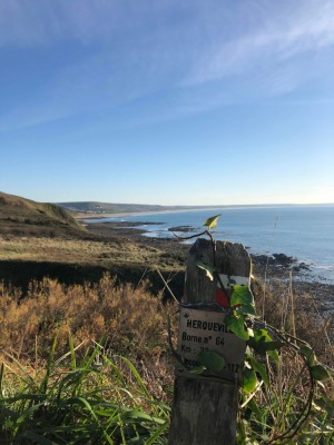 273039732-270427031834300-1751576883815600718-n__