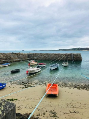 273600843-1267383503749044-9103186262606045873-n__