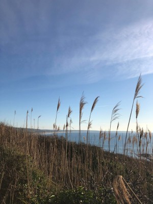 273880874-500220518369983-1508615105420529230-n__