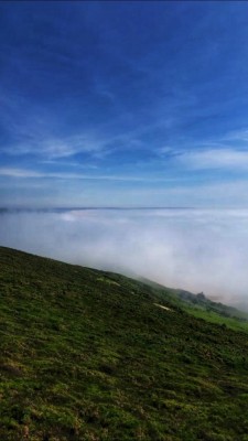 273935594-317282920370468-158953572870255401-n__