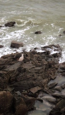 275101436-5212444245472959-8484315571344345461-n__