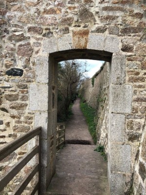 275187699-810644983246722-5252128851608028176-n__