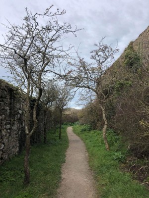 275653741-1957055647830268-2406474815788146750-n__