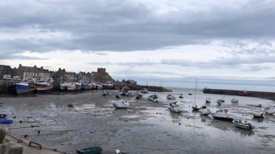 275659403-1184750245596792-7695802808878860861-n__